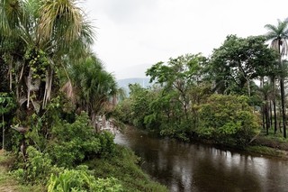 川背景.jpg