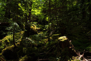 KM19814244_TP_V4.jpg